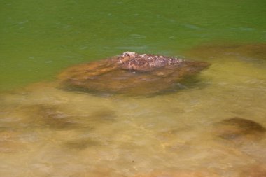 Dağ gölü taşlarla