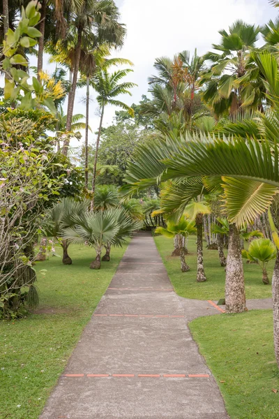 Martinique, parkta bir yürüyüş