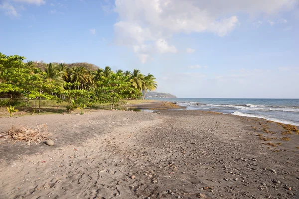 Spiaggia tropicale sulla Dominica — Foto Stock