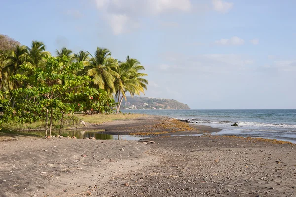 Playa tropical en Dominica —  Fotos de Stock
