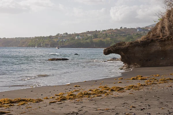 Playa tropical en Dominica —  Fotos de Stock