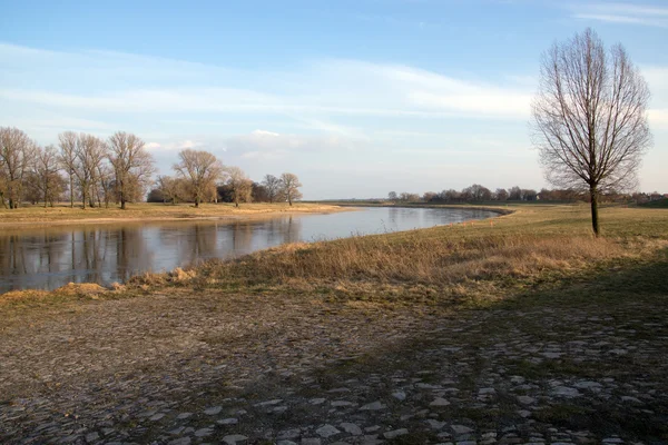 Uitzicht op de rivier de Elbe in de deelstaat Saksen — Stockfoto