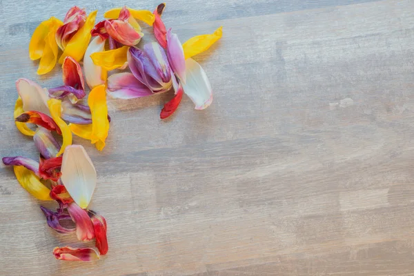 Leaves of Tulips forming frame on wooden table — Stock Photo, Image