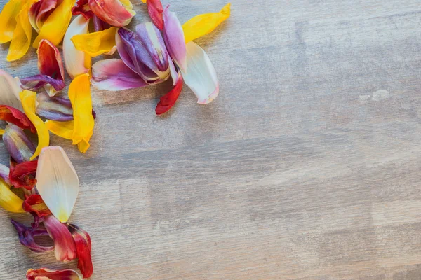 Folhas de tulipas formando moldura na mesa de madeira — Fotografia de Stock