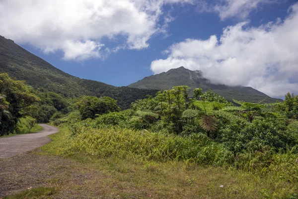 Camino sinuoso a través de Dominica — Foto de Stock