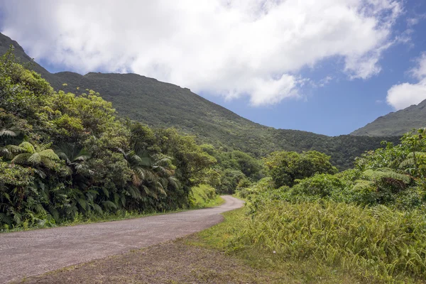 Strada tortuosa attraverso Dominica — Foto Stock