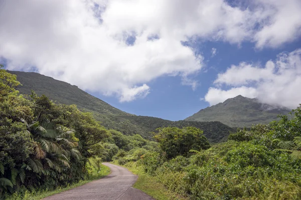 Slingrande väg genom Dominica — Stockfoto