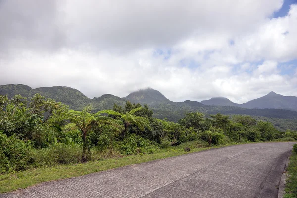 Camino sinuoso a través de Dominica — Foto de Stock