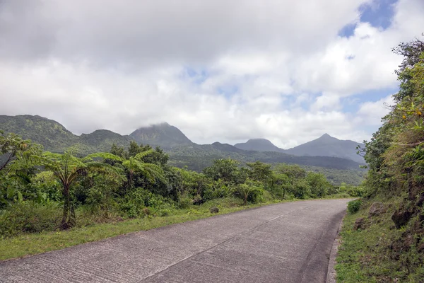 Strada tortuosa attraverso Dominica — Foto Stock