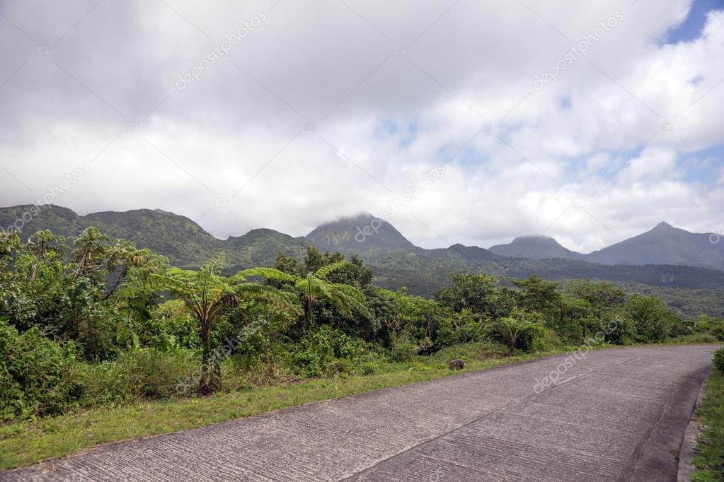 Winding road through Dominica