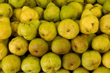 arka planını olgun armut