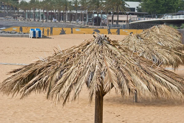 Reed şemsiye plajda — Stok fotoğraf