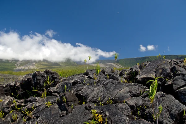 Lava Eruption at La Fournaise on Reunion island — Stock Photo, Image