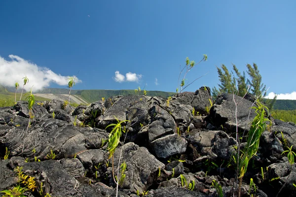 Lava Eruption at La Fournaise on Reunion island — Stock Photo, Image