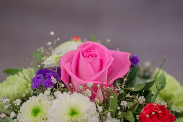 Beautiful pink rose — Stock Photo, Image