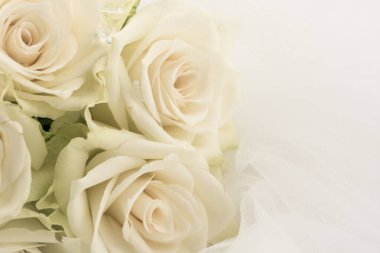 Beyaz düğün duvağı ve beyaz gül buketi 