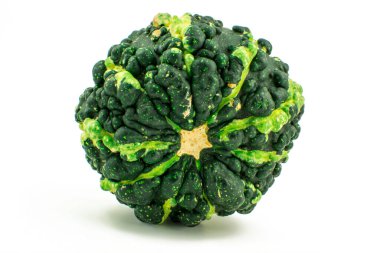 Renkli dekoratif mini balkabaklarıyla durgun yaşam kompozisyonu