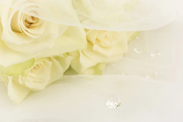 Ślub Biały Welon Ślubny Biały Kwiat Róży Bukiet — Zdjęcie stockowe