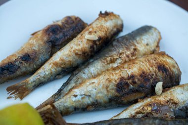 Tabakta ızgara sardalya yakın çekim.