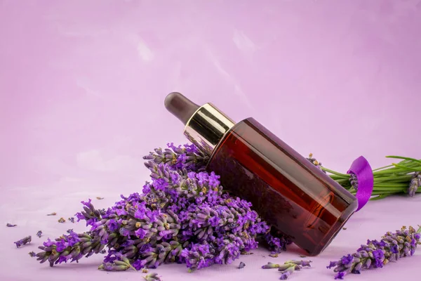 Lavendel Ört Och Eterisk Aromaterapi Olja — Stockfoto