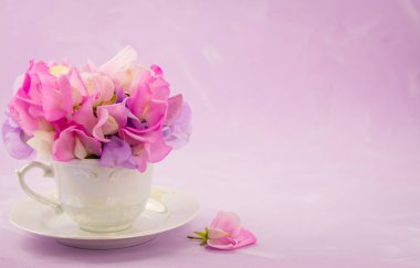 Tatlı bezelyeler, çok renkli çiçekler.