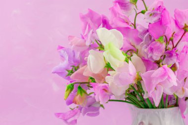 Tatlı bezelyeler, çok renkli çiçekler.