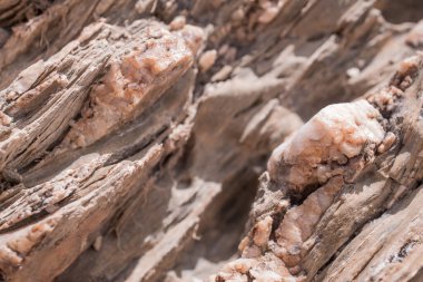Kahverengi rengin yüzeyi, taş dokusu ve arka planı..