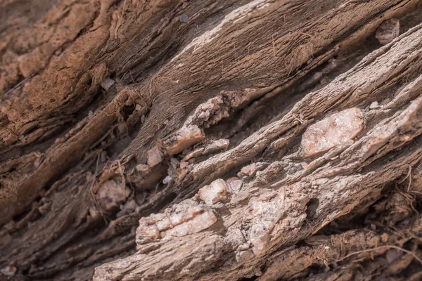 Kahverengi Rengin Yüzeyi Taş Dokusu Arka Planı — Stok fotoğraf