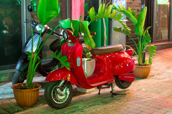 Foto Scooter Rosso Vicino Alla Pianta Verde Fotografia Stock