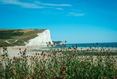 Seven Sisters Ulusal Parkı, beyaz uçurumlar, sahil, okyanus Doğu Sussex