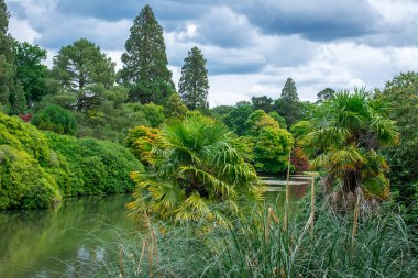 Sheffield Park Gölü ve Doğu Sussex, İngiltere 'deki bahçeler.