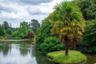 Sheffield Park Gölü ve Doğu Sussex, İngiltere 'deki bahçeler.