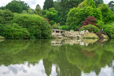 Sheffield Park Gölü ve Doğu Sussex, İngiltere 'deki bahçeler.