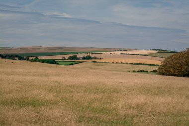 Yeşil kırsal tarım arazisi. İngiltere.
