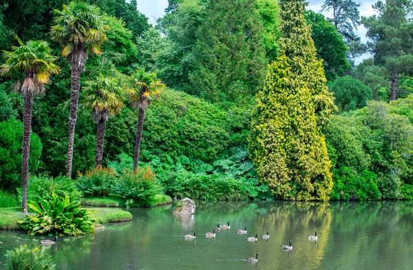 Sheffield Park Lake Gardens East Sussex — 图库照片