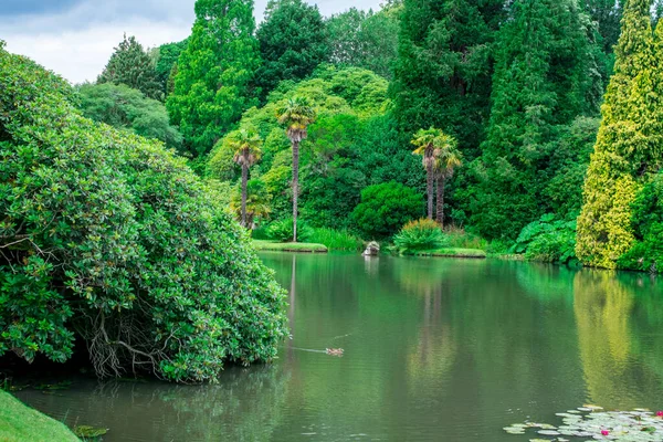 Sheffield Park Lake Gardens East Sussex — 图库照片