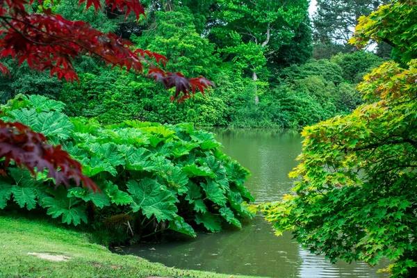 Lago Jardines Sheffield Park East Sussex Reino Unido — Foto de Stock