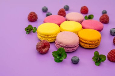 beyaz arka planda kırmızı gül ile yumuşak oyuncak