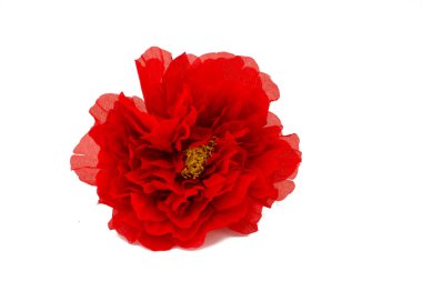 Beyaz arkaplanda kırmızı haşhaş çiçekleri