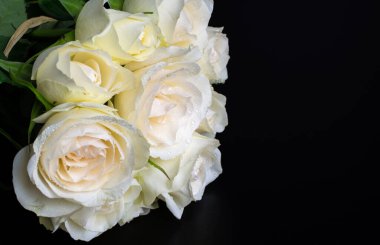 Güzel beyaz krem arkaplan