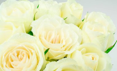 Güzel beyaz krem arkaplan