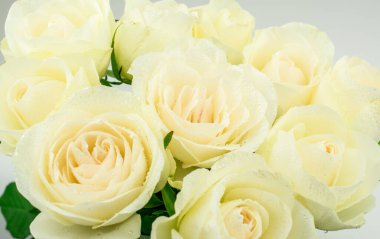 Güzel beyaz krem arkaplan