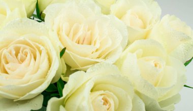 Güzel beyaz krem arkaplan