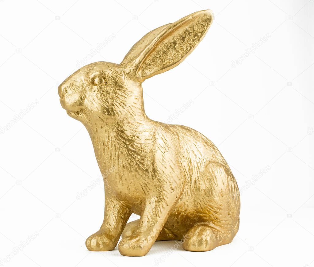 big gold rabbit on white background
