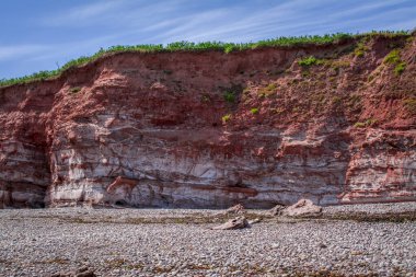 Budleigh Salterton 'ın annesi yosunlarla kaynıyor. İngiltere. İngiltere