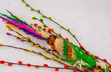 traditional colorful pussy willow east europe symbol for palm sunday