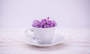 Pembe arka plan ve kapakta leylak çiçekleri