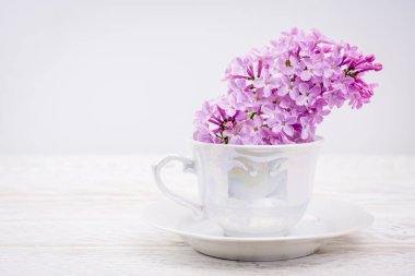 Pembe arka plan ve kapakta leylak çiçekleri