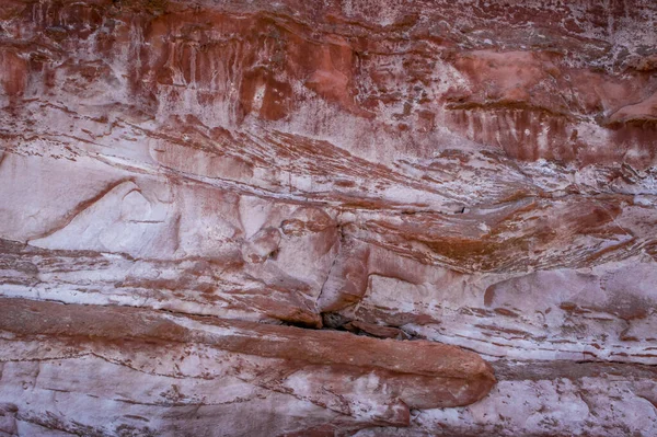 Budleigh Salterton Madre Scogliera Roccia Con Alghe Regno Unito Regno — Foto Stock