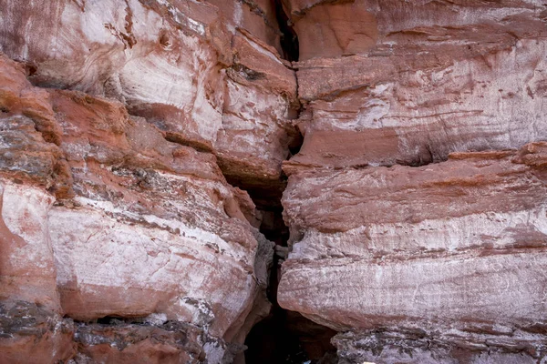Budleigh Salterton Madre Scogliera Roccia Con Alghe Regno Unito Regno — Foto Stock